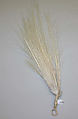 Aigrette, feather, American or European