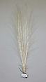 Aigrette, feather, American or European