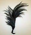 Aigrette, feather, American or European