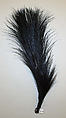 Aigrette, feather, American or European