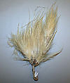 Aigrette, feather, American or European