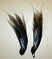Aigrette, feathers, American or European