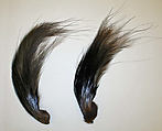 Aigrette, feather, American or European