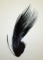 Aigrette, feathers, American or European