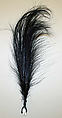 Aigrette, feathers, American or European