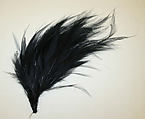 Aigrette, feathers, American or European