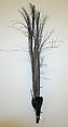 Aigrette, feathers, American or European