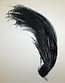 Aigrette, feathers, American or European