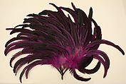 Fan, feathers, plastic, American or European