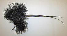 Aigrette, feathers, American or European