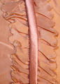 Dress, silk, French