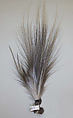 Aigrette, feathers, American or European