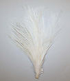 Aigrette, feathers, American or European