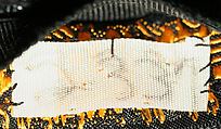 Hat, Bergdorf Goodman (American, founded 1899), silk, straw, American