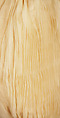 Dress, House of Worth (French, 1858–1956), silk, lace, French