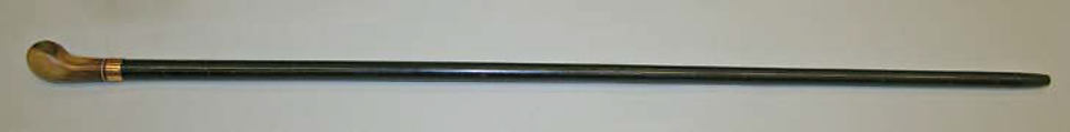 Cane, wood, gold, horn, American or European