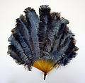 Brisé fan, feathers, plastic, American or European