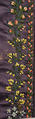 Pelerine, silk, British