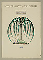 Modes et Manières d'Aujourd'hui, Pierre Corrard, paper, French