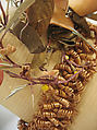 Poke bonnet, paper, silk, American or European