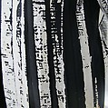 Shirt, Issey Miyake (Japanese, 1938–2022), cotton, metal, mother-of-pearl, Japanese