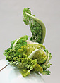 "Cauliflower" headpiece, Deirdre Hawken (British, born Reading, 1945), silk, cotton, synthetic, metal, British