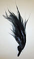 Hair accessory, feathers, probably American