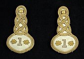 Epaulets, Wool, metallic, American