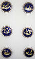 Button, enamel, probably European