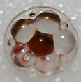 Button, glass, American or European
