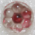 Button, glass, American or European