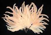 Fan, Tortoiseshell, feather, probably American