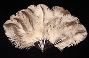 Fan, Tortoiseshell, feather, American
