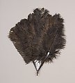 Fan, Tortoiseshell, feather, American