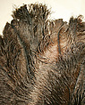 Fan, Tortoiseshell, feather, American