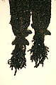 Cape, jet, silk, French