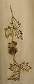 Evening dress, [no medium available], Austrian