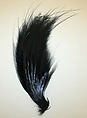 Feather, feathers, probably American