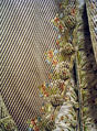 Suit, silk, French