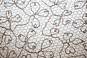 Veil, silk, American