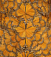 Ensemble, Alexander McQueen (British, founded 1992), silk, feathers, leather, metal, rubber, British