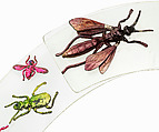 Necklace, Schiaparelli (French, founded 1927), plastic (cellulose acetate), metal (tin), French