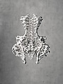 Ensemble, Iris van Herpen Dutch, (a, b) plastic (polyamide); (c, d) leather, plastic (acrylic), Dutch