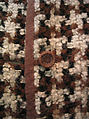 Suit, House of Chanel (French, founded 1910), a) wool, cashmere, silk, metal; b) wool, cashmere, silk, French