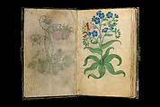 Book of Flower Studies, Master of Claude de France (active from ca.1508–1520), Opaque water color, organic glazes, gold and silver paint, iron and carbon-based ink and charcoal on parchment, French