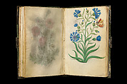 Book of Flower Studies, Master of Claude de France (active from ca.1508–1520), Opaque water color, organic glazes, gold and silver paint, iron and carbon-based ink and charcoal on parchment, French
