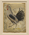 Cuttings from a Modelbook with a Rooster, a Hen and her Chicks, and a Rabbit, Pen and brown and black ink, watercolor, on parchment, North Italian (?)