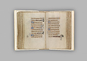The Hours of Jeanne d'Evreux, Queen of France, Jean Pucelle (French, active Paris, 1319–34), Grisaille, tempera, and ink on vellum, French