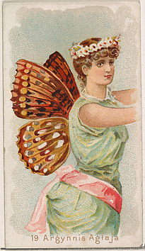 Image for Card 19, Argynnis Aglaja, from the Butterflies series (N183) issued by Wm. S. Kimball &amp; Co.