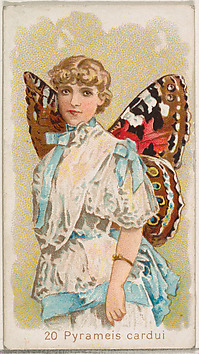 Image for Card 20, Pyrameis Cardui, from the Butterflies series (N183) issued by Wm. S. Kimball &amp; Co.